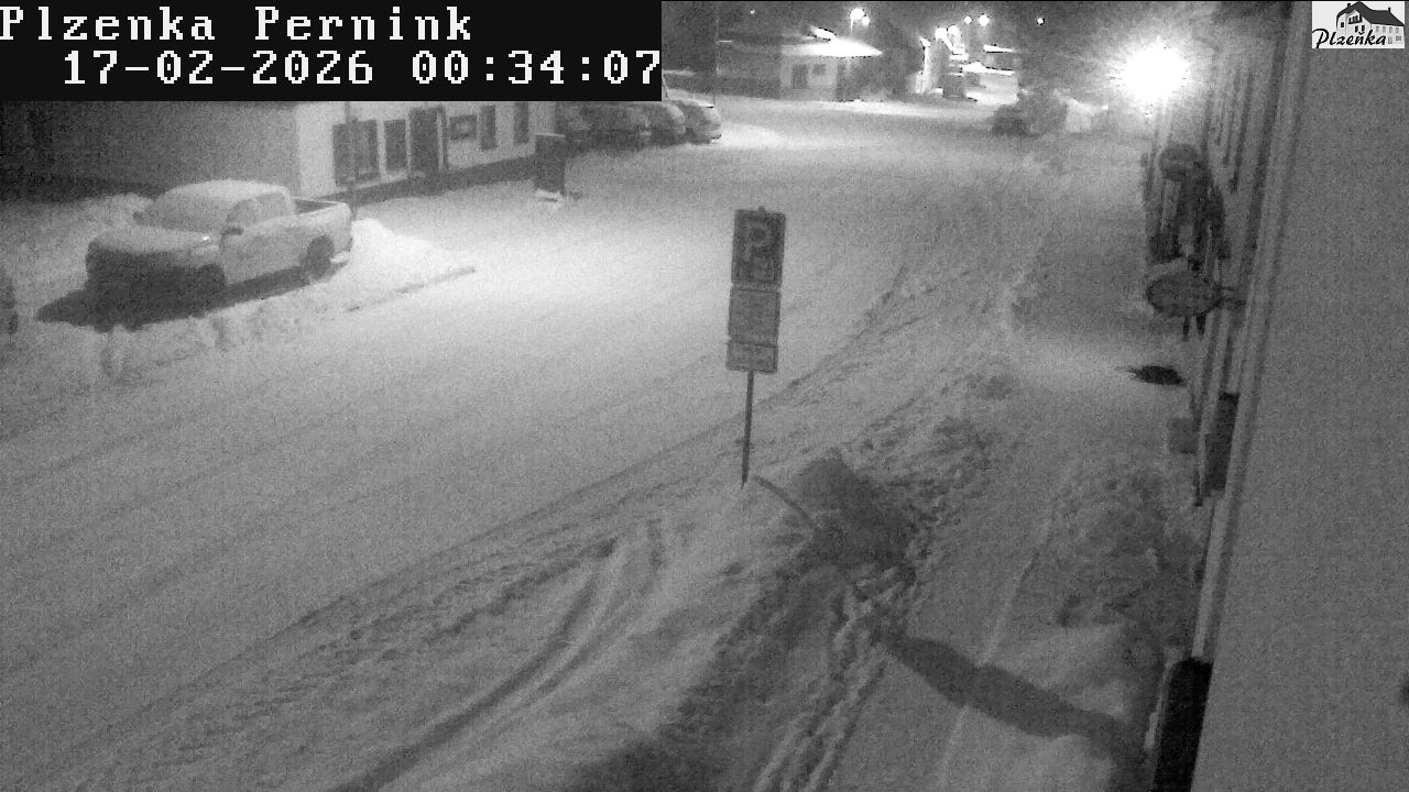 Webcam - Pernink